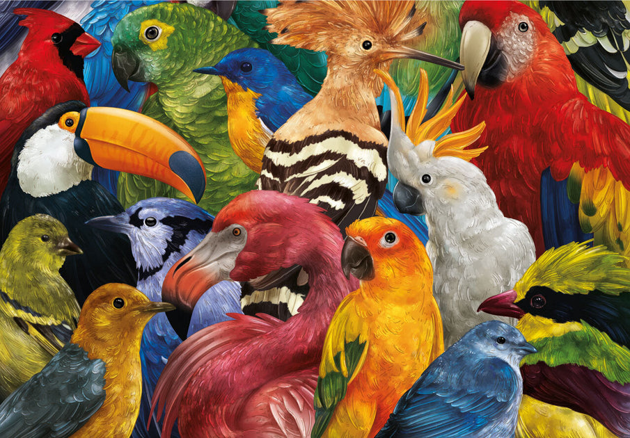 Animals-in-the-wild-