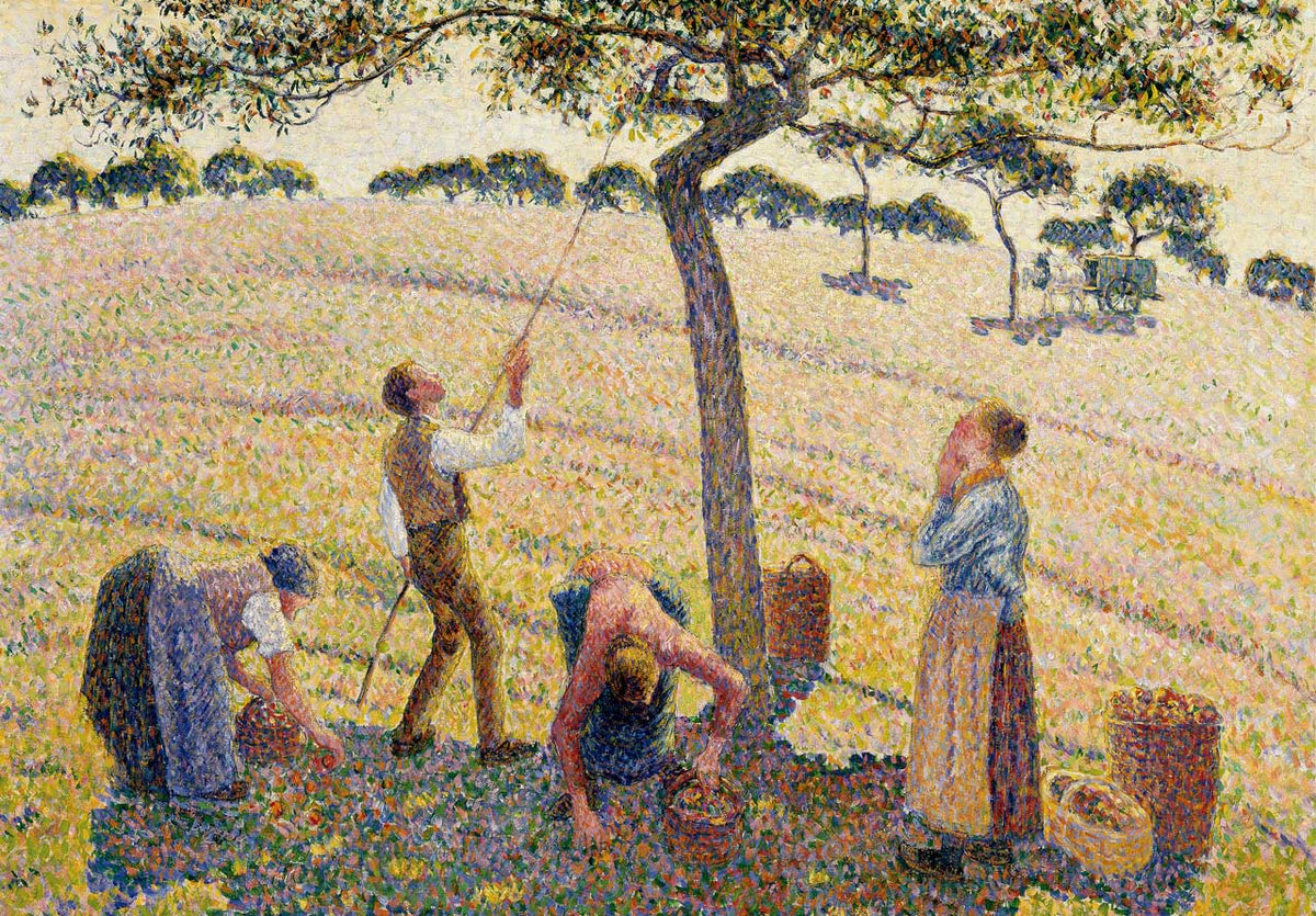 Apple-Harvest-web_1200x1200.