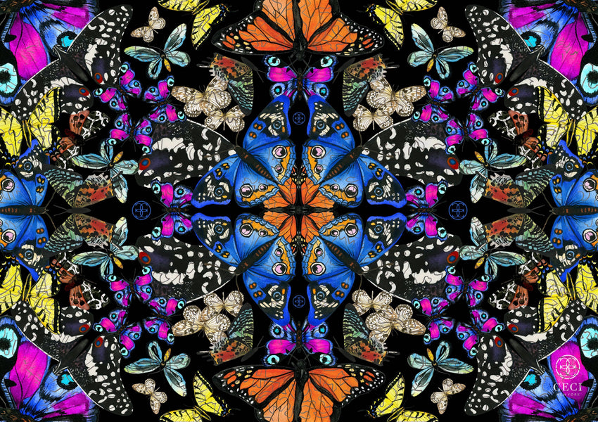Butterfly Kaleidoscope by Ceci New York