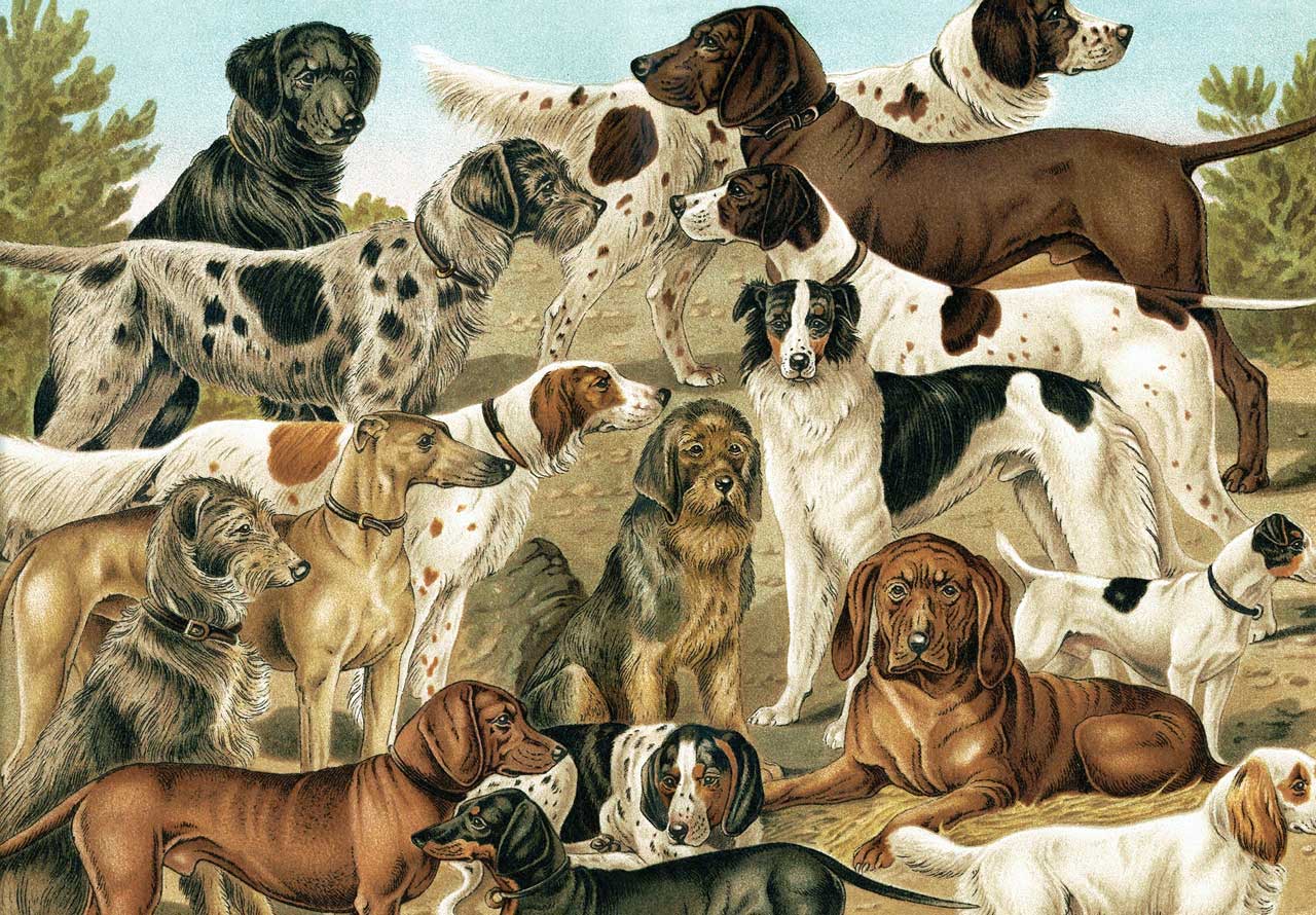 Vintage Treasures Wooden Puzzles – Mosaic Puzzles
