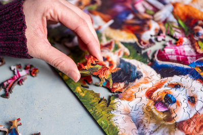 Wooden Puzzles