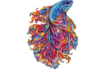 Chromatic Betta