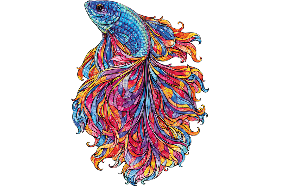 Chromatic Betta