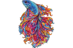 Chromatic Betta