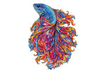 Chromatic Betta