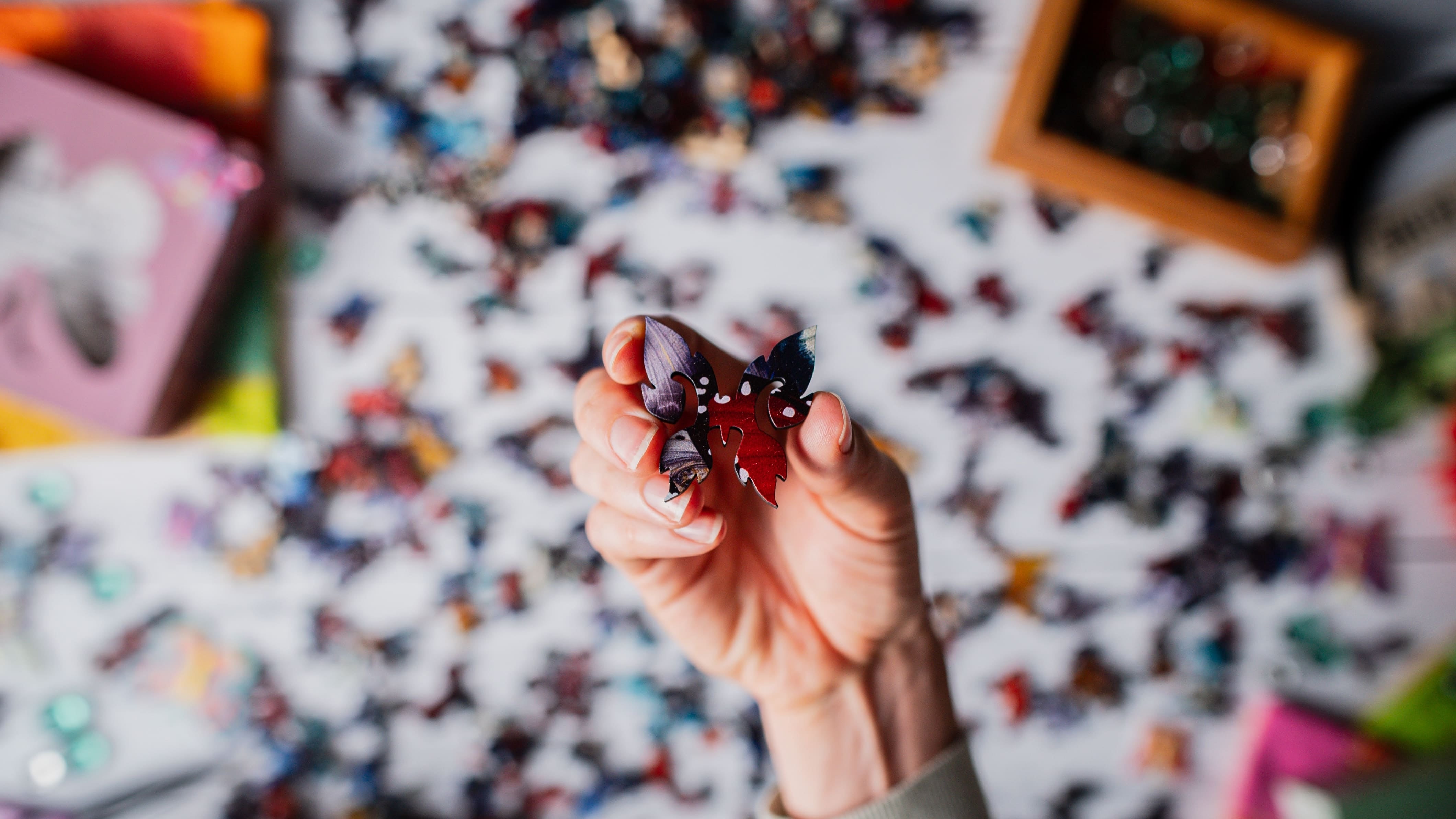 Butterfly Gathering – Mosaic Puzzles