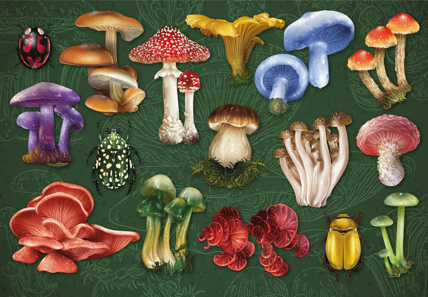 Mushrooms & Beetles