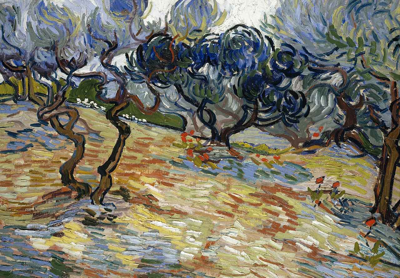 Olive Trees by Van Gogh