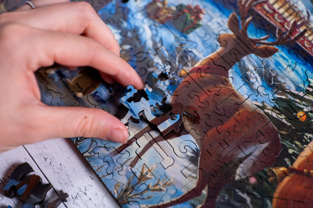 Tracks to the North Pole | Heritage 3D Series