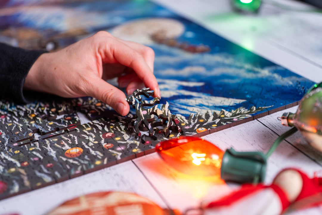 Tracks to the North Pole | Heritage 3D Series