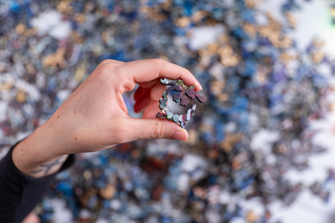 Tracks to the North Pole | Heritage 3D Series