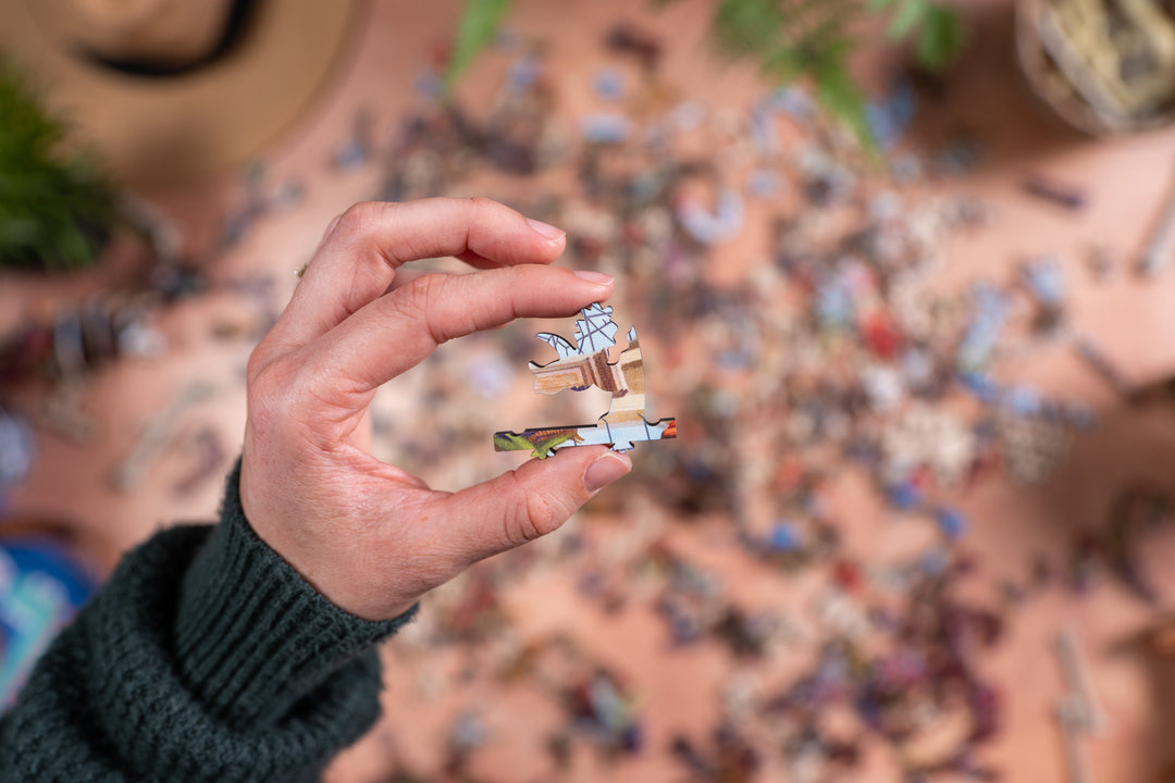 Dinos on the Loose | Heritage 3D Series