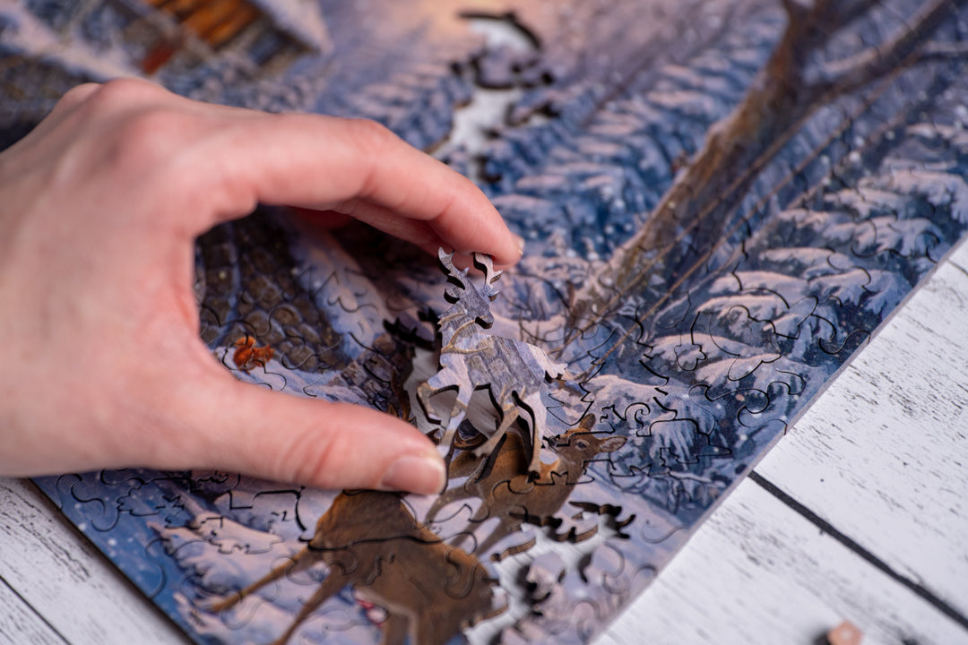 Woodland Winter Refuge