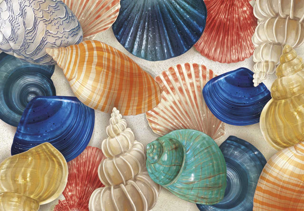 Summer Seashells