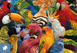 Tropical Feathers | Traditions by Mosaic Puzzles