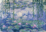 Waterlillies by Monet