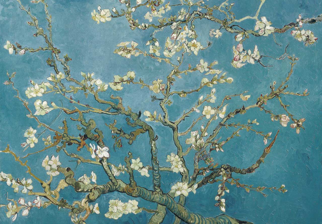 Almond blossom by Van Gogh