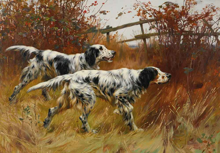 English Setters by Thomas Blinks