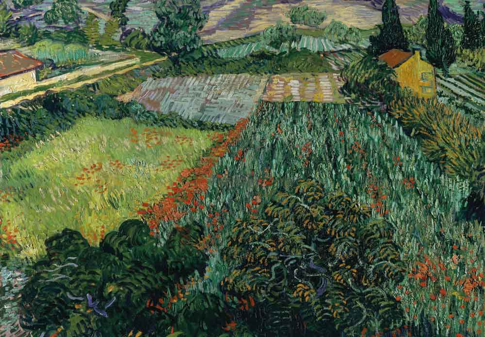 Field with Poppies by Van Gogh