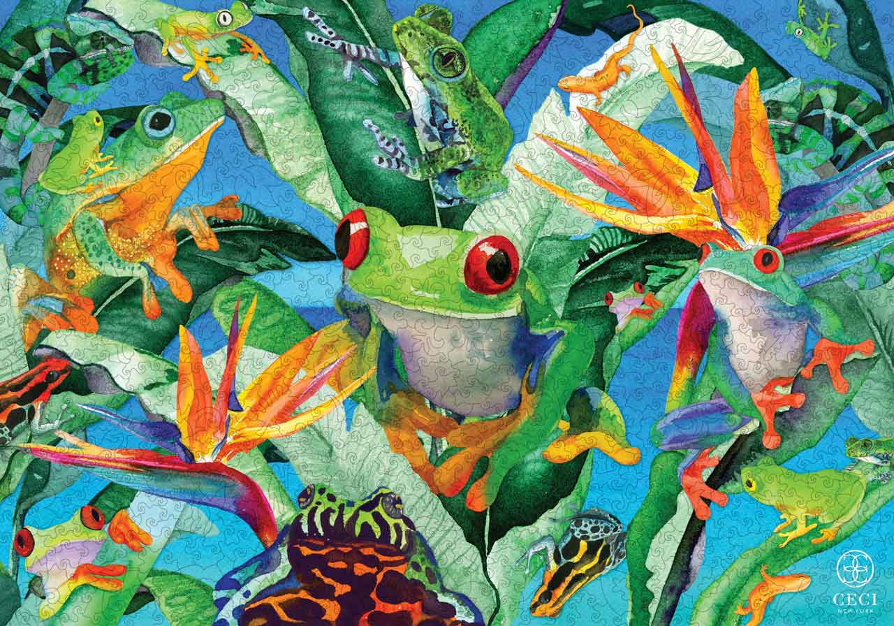 Frogs of Paradise by Ceci New York