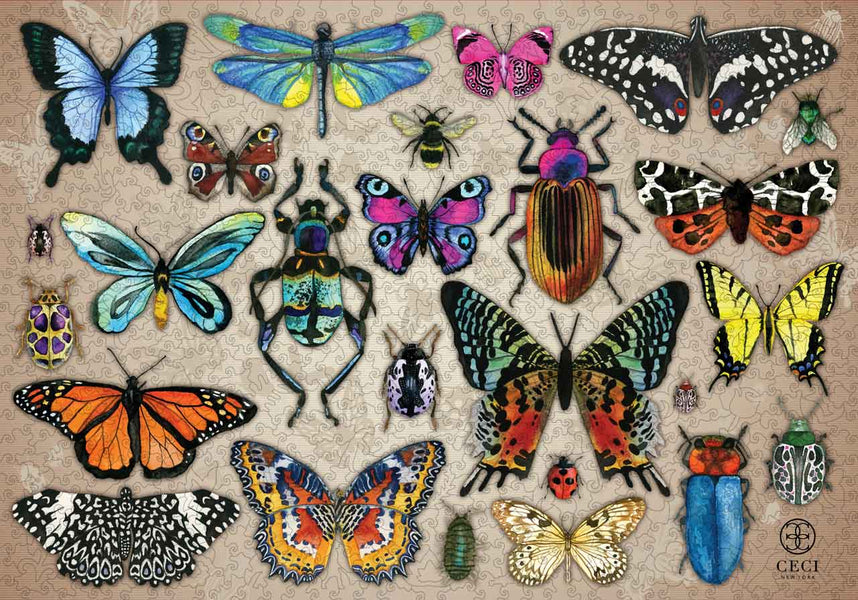 Intricate Insects by Ceci New York