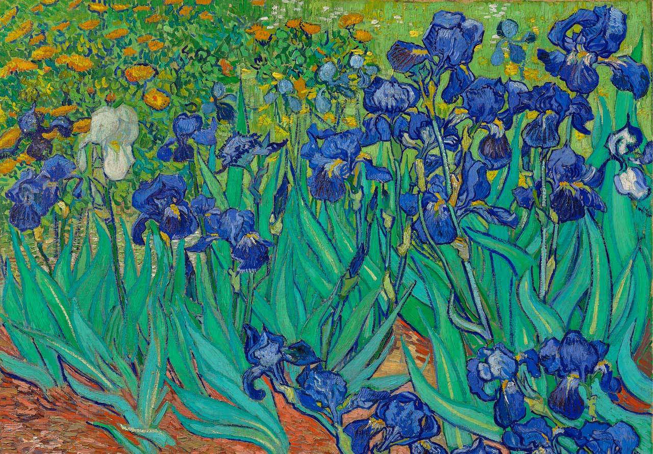 Irises by Van Gogh – Mosaic Puzzles