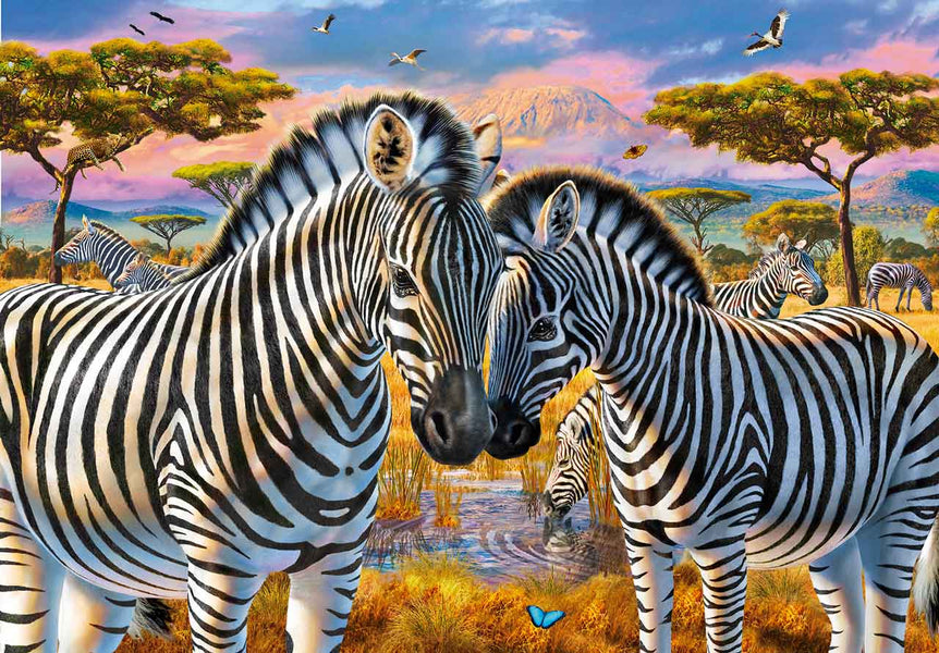 Loving Zebras