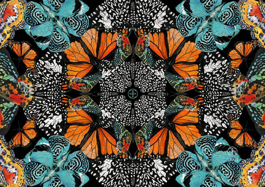 Monarch Kaleidoscope by Ceci New York