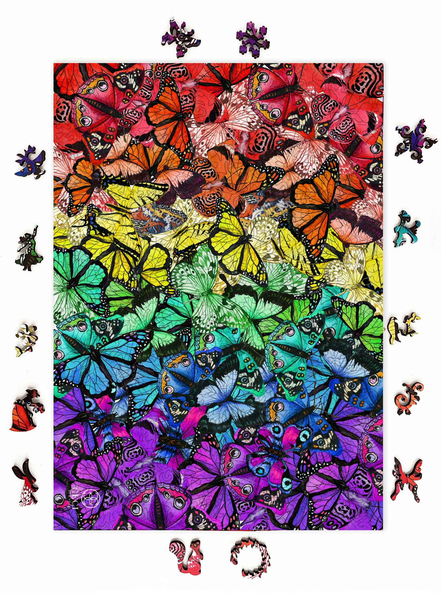 Rainbow Butterflies by Ceci New York